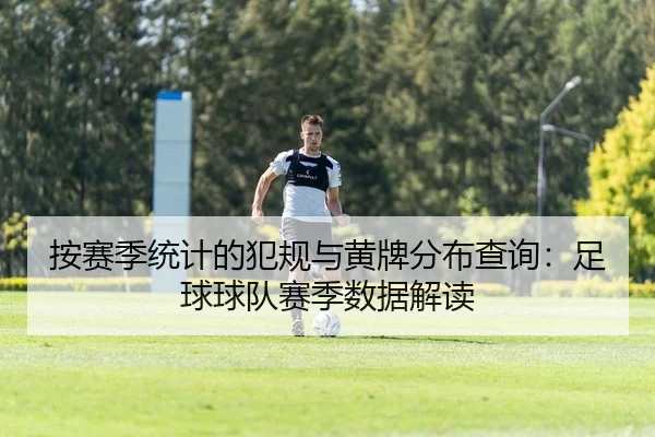 按赛季统计的犯规与黄牌分布查询：足球球队赛季数据解读